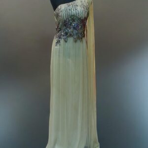 One Shoulder Beige Tulle Embellished Gown