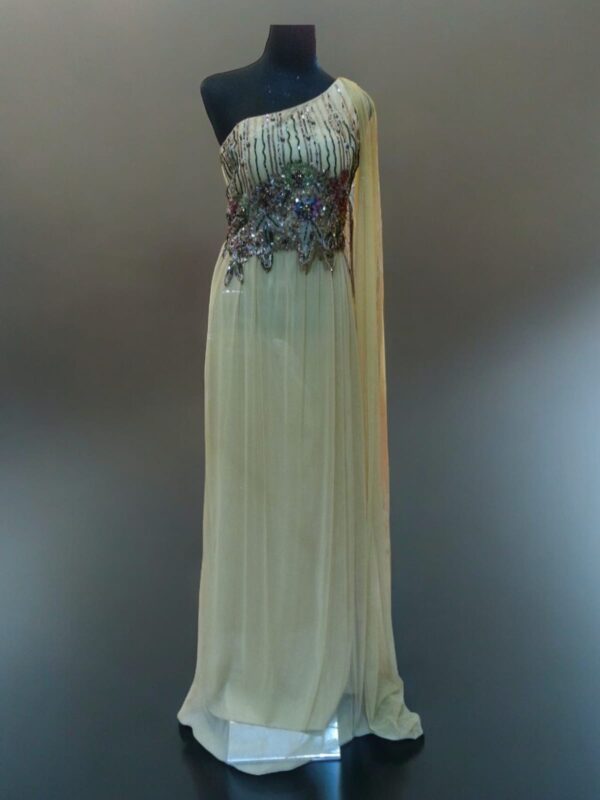 One Shoulder Beige Tulle Embellished Gown